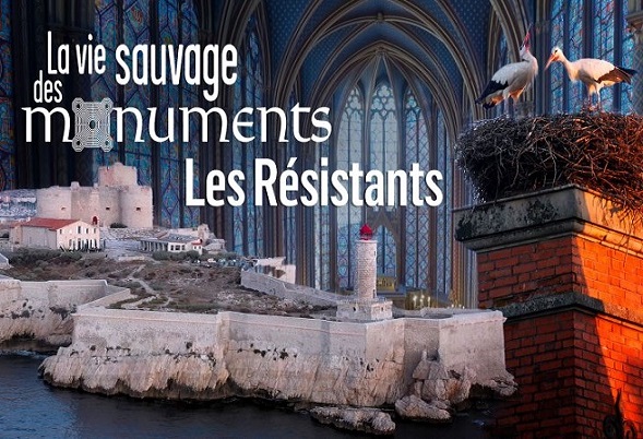 La vie sauvage des monuments, les résistants.
