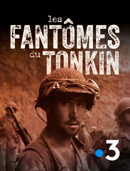 Les Fantômes du Tonkin, à la recherche des soldats morts à Diên Biên Phu
